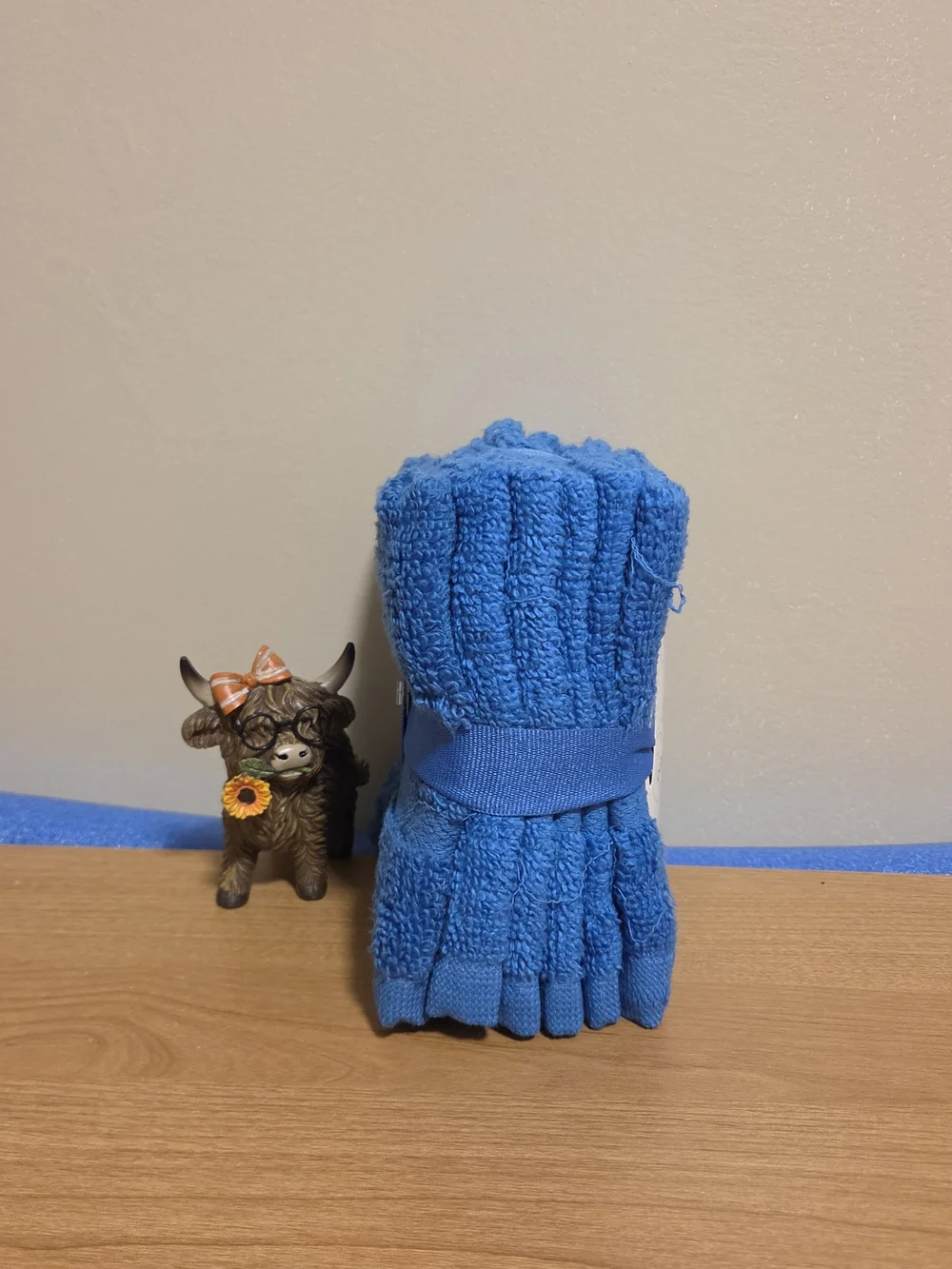 Aston Arden Blue 6-Pack Cotton Washcloths
